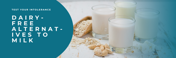Dairy-Free Alternatives to Milk