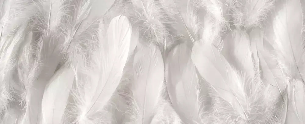 Do you have an intolerance to feathers?