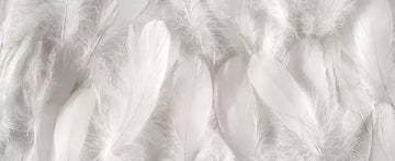 Do you have an intolerance to feathers?
