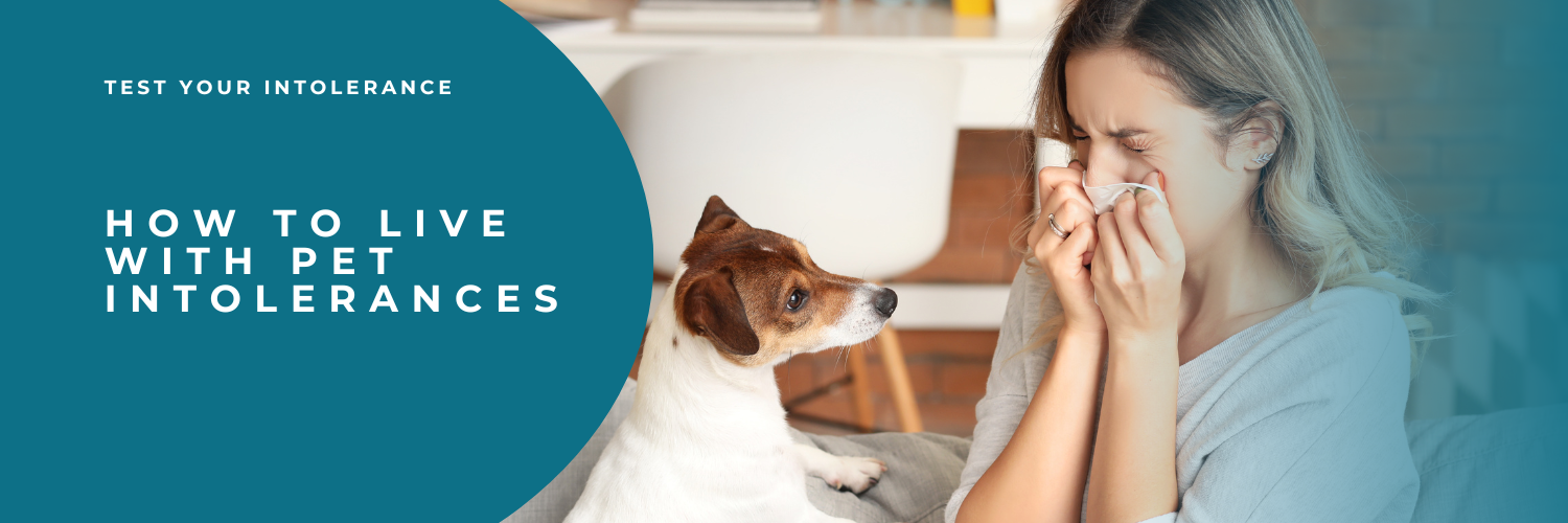 How to live with pet intolerances